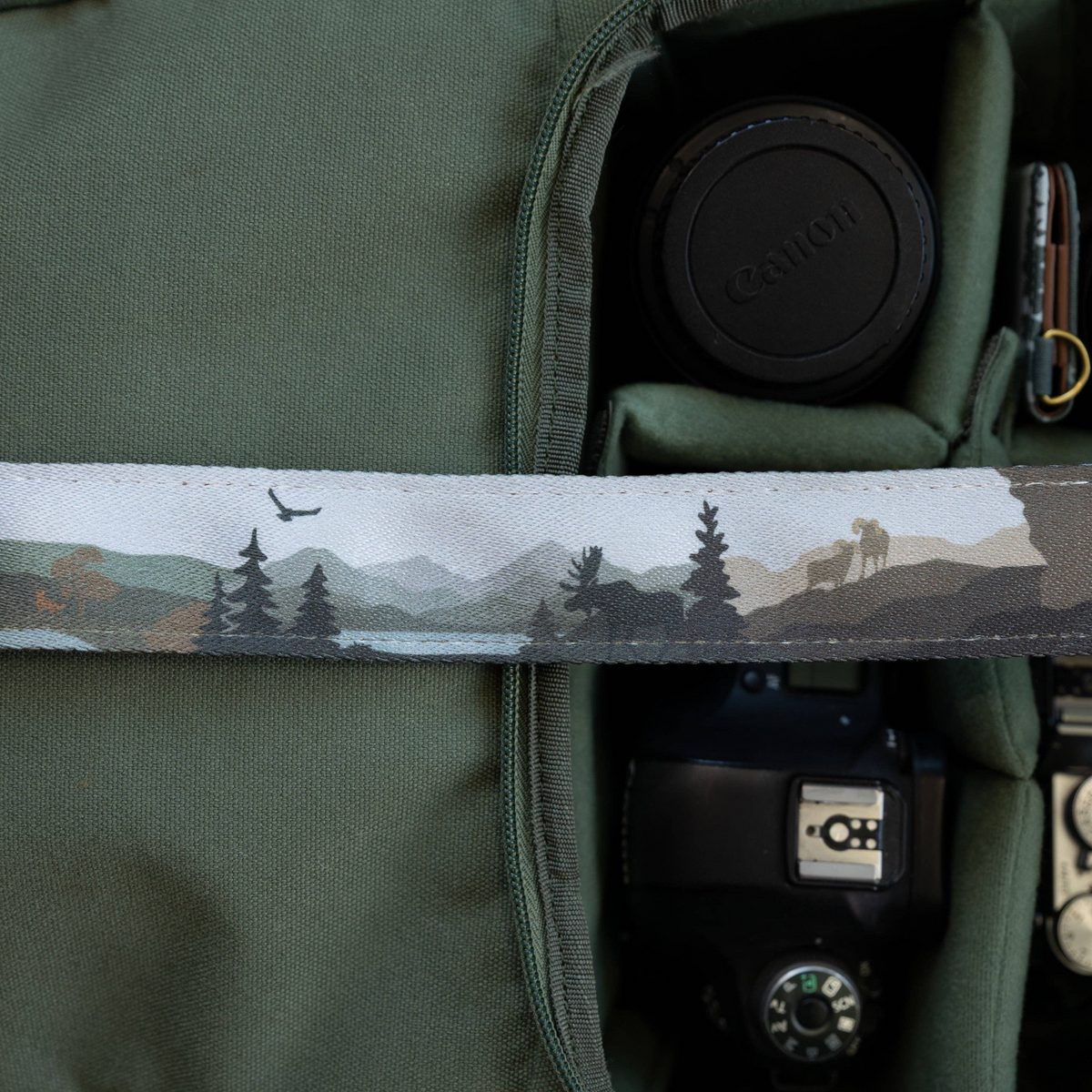 Forager Provisions LTD Wildtree Wildlife Wander camera strap with wilderness landscape print over a green camera bag.