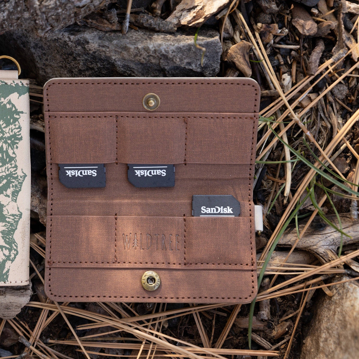 Forager Provisions LTD Wildtree card holder with brown PU leather interior holding SD cards on a forest floor background.