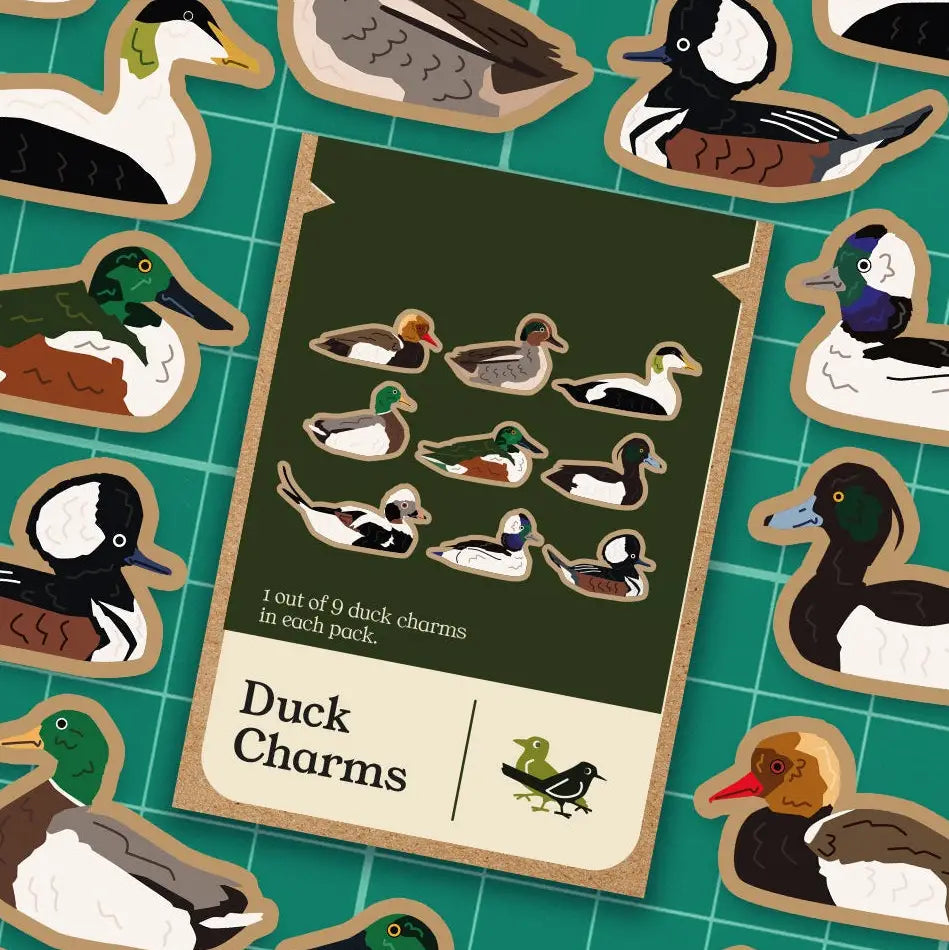 Birbs and Borbs - Duck Charms (Random 1 out of 9)
