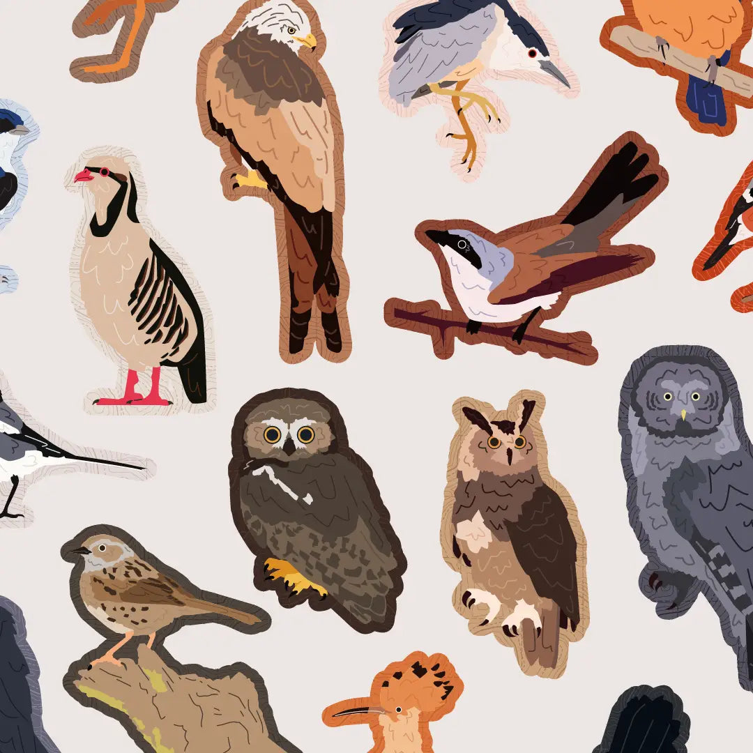 Forager Provisions LTD Birbs and Borbs Series 2 bird stickers featuring various illustrated owl and songbird designs.