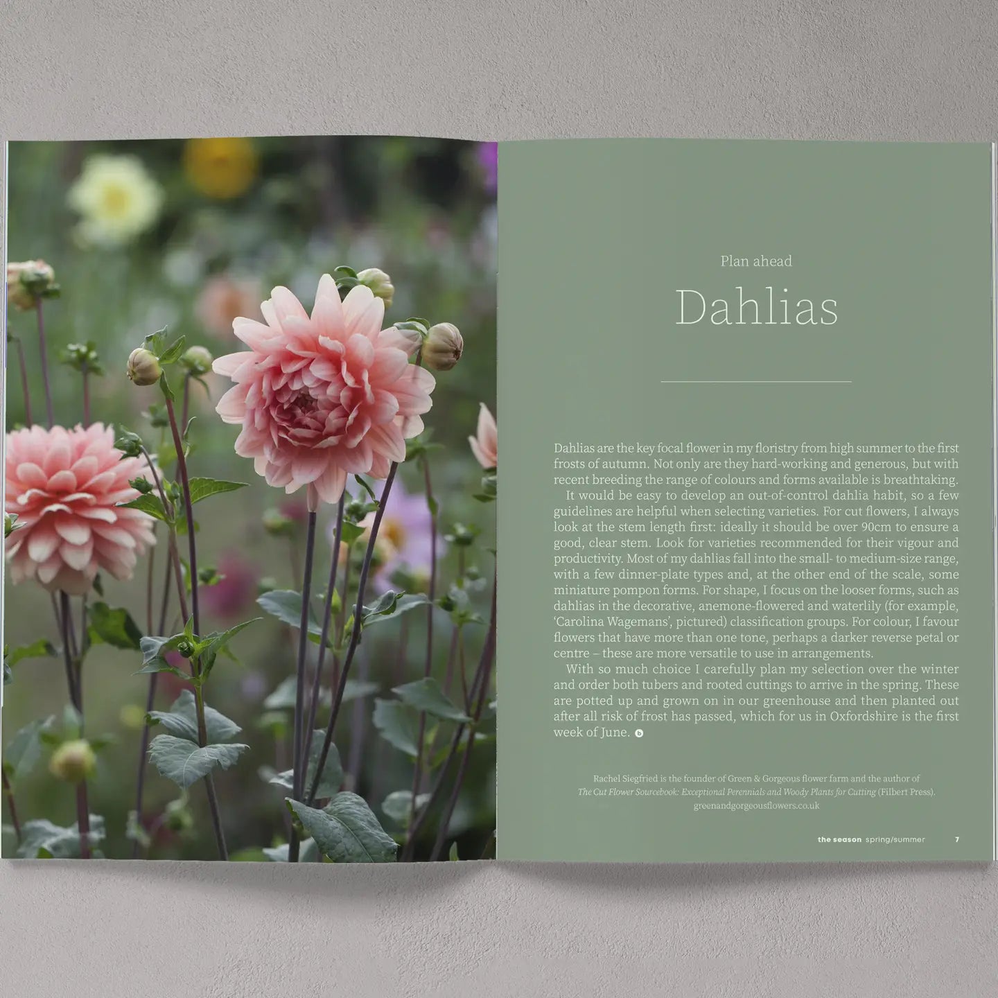 Bloom Zine Issue 16 Spring/Summer 24 features a poster with three pink flowers and green leaves, overlaid with the word "bloom" in white, and text at the bottom that reads "gardening • Urban garden • inspiration".