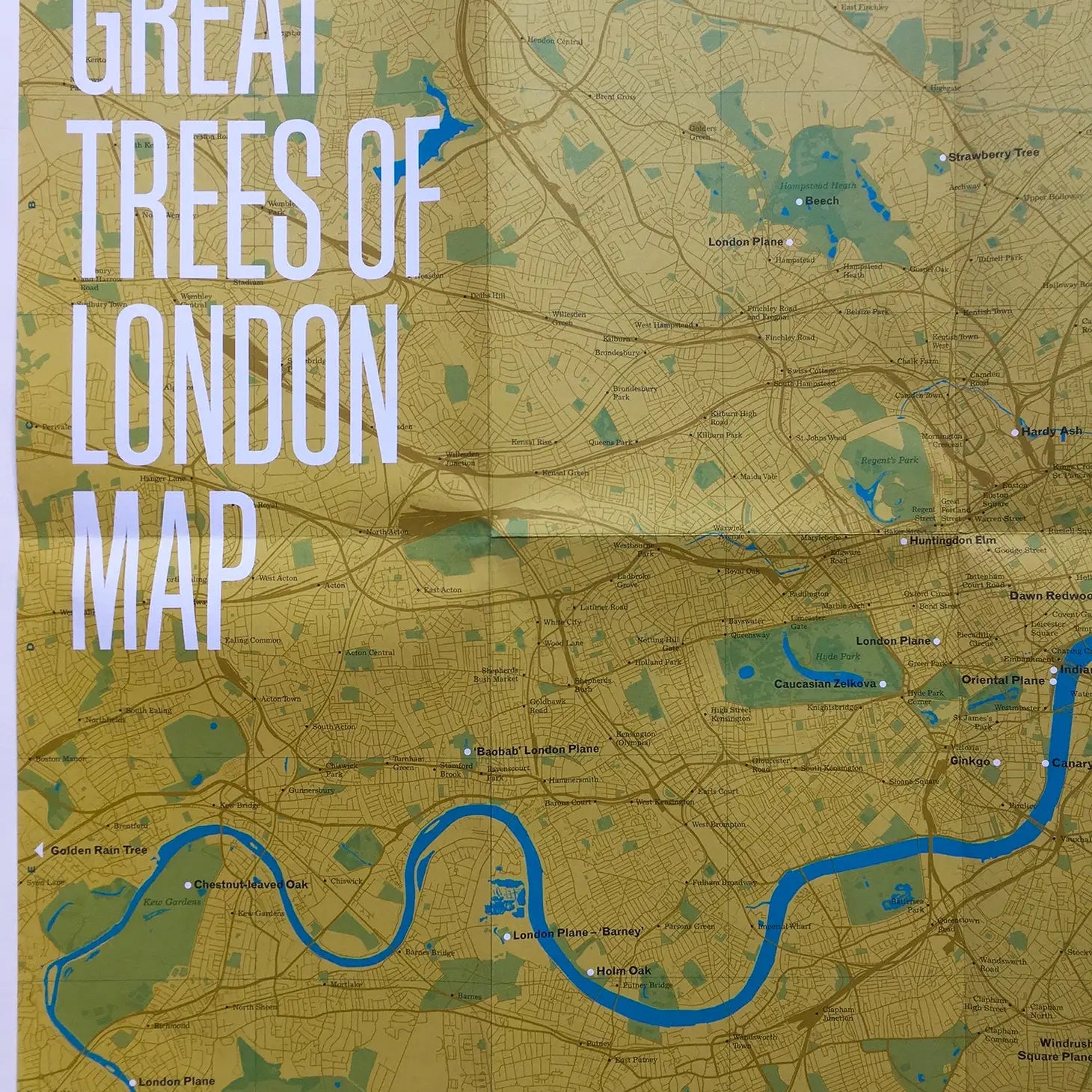 Cover of the "Blue Crow Media Great Trees Of London Map" featuring a green title block overlaid on a detailed map of London's areas, printed on recycled FSC-certified paper, all displayed on a wooden surface.