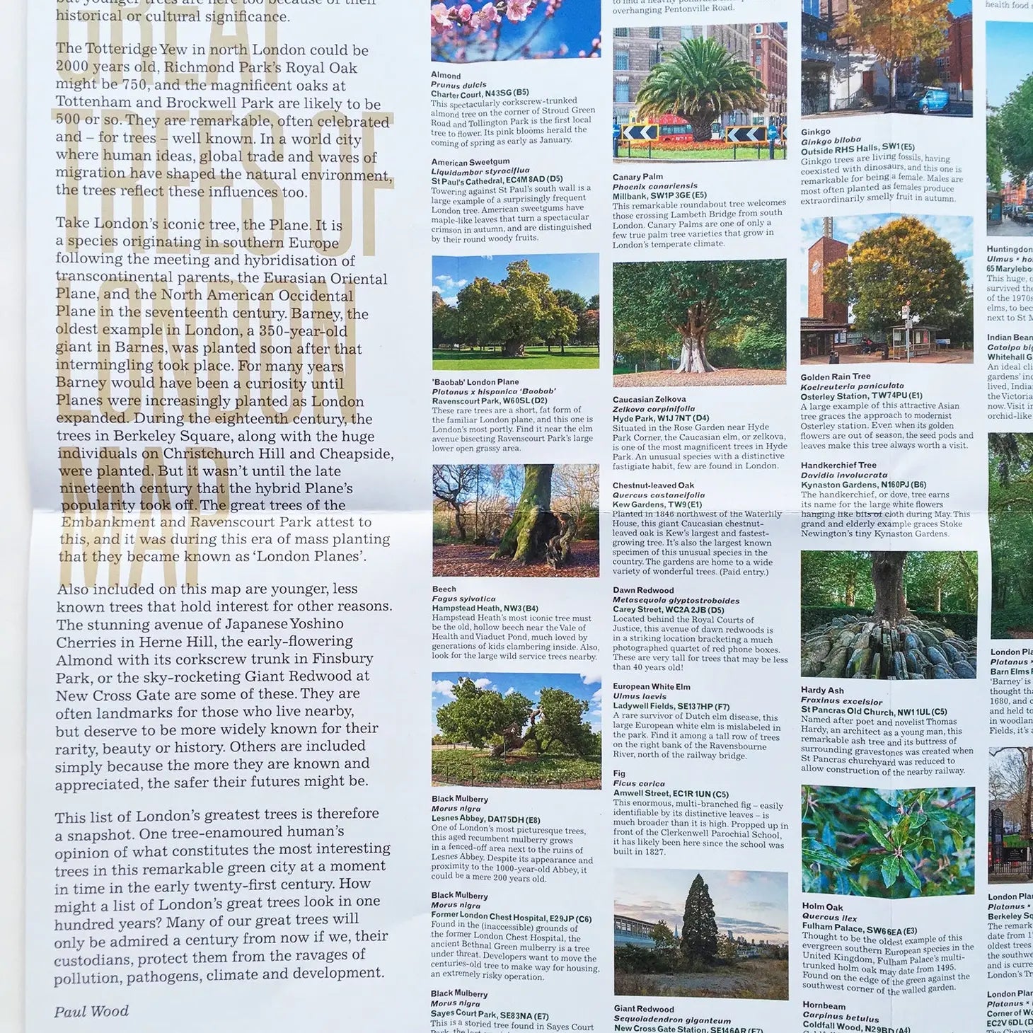 Cover of the "Blue Crow Media Great Trees Of London Map" featuring a green title block overlaid on a detailed map of London's areas, printed on recycled FSC-certified paper, all displayed on a wooden surface.