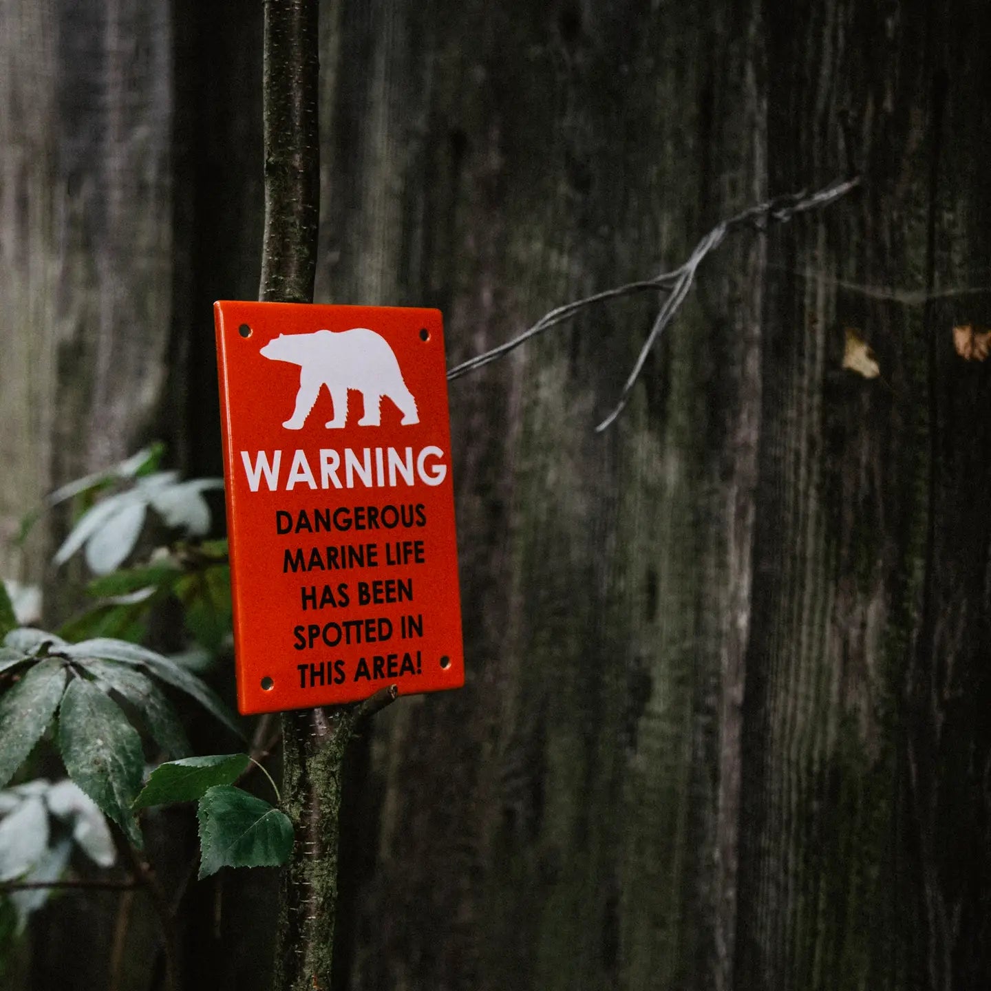 Emalco red warning sign 12x8 cm with bear icon, alert for dangerous marine life, safety notice for beaches and coastal areas.