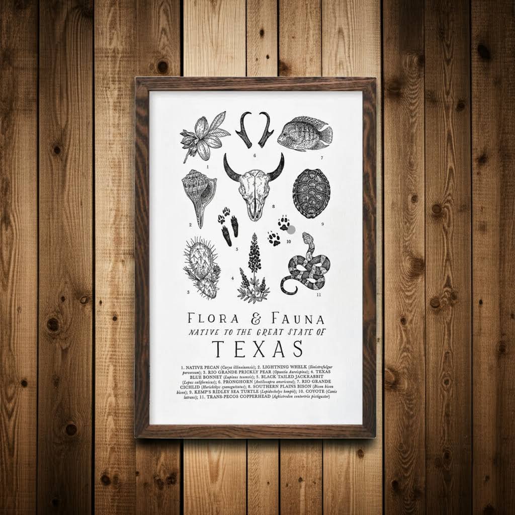 The Wild Wander Texas Field Guide Print (11x17) (Frame Not Included)
