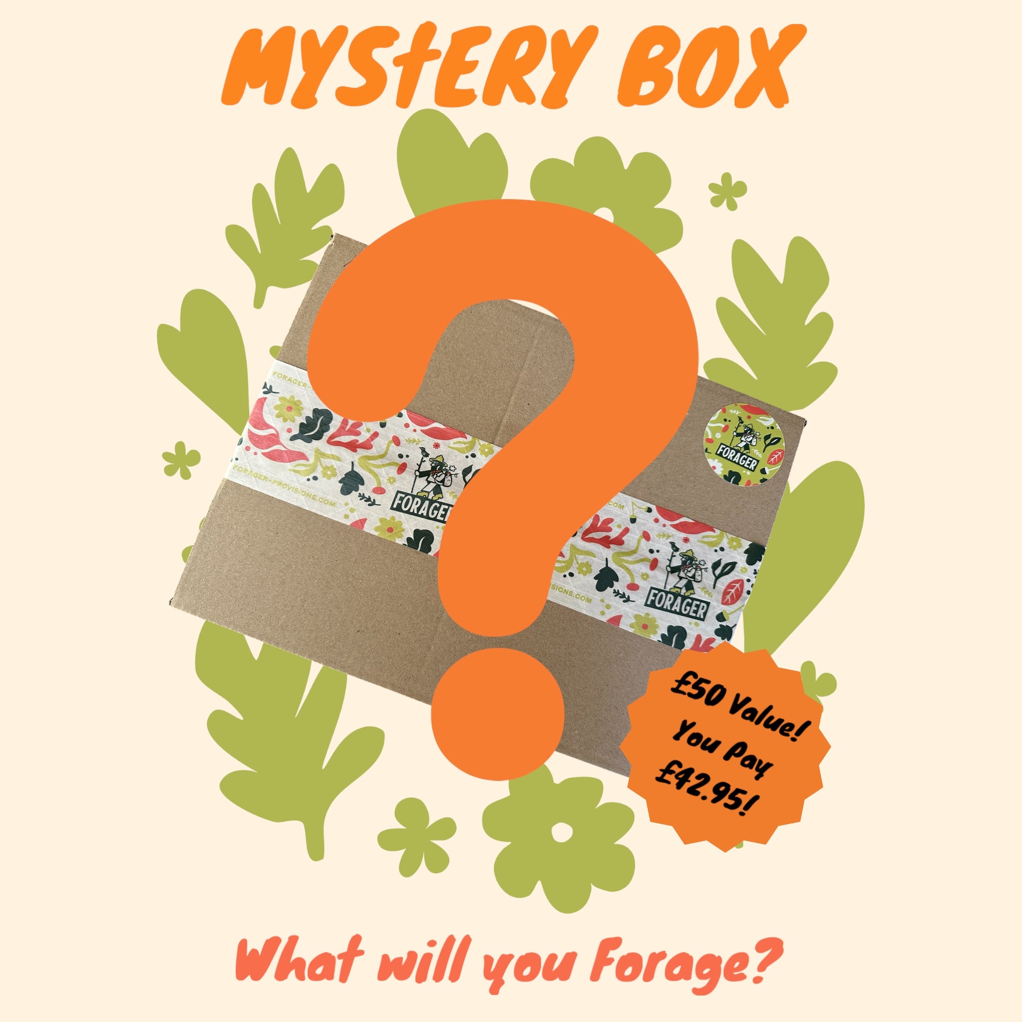 Forager Provisions Mystery Box - £50 Value - Save 15% - DISCOUNT CODES EXCLUDED