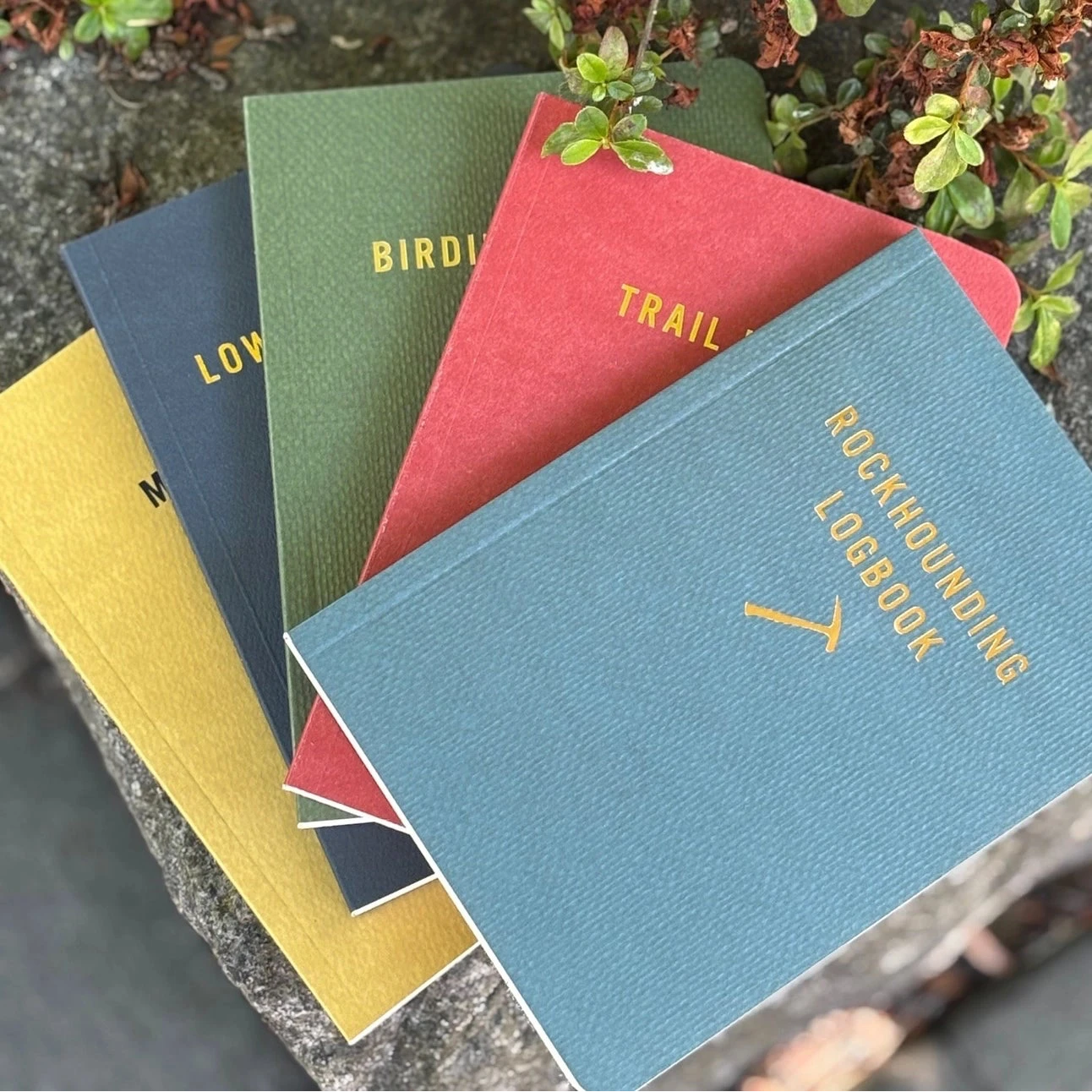 The Mountaineers Books Rockhounding Logbook stacked on stones with others—perfect gift for geology lovers and rock collectors.