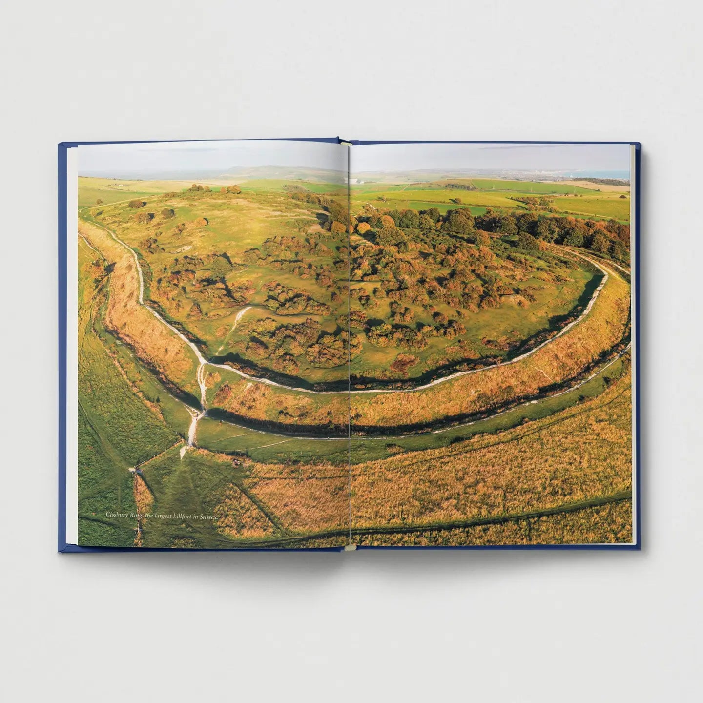 Hoxton Mini Press Ancient Britain For Modern Folk