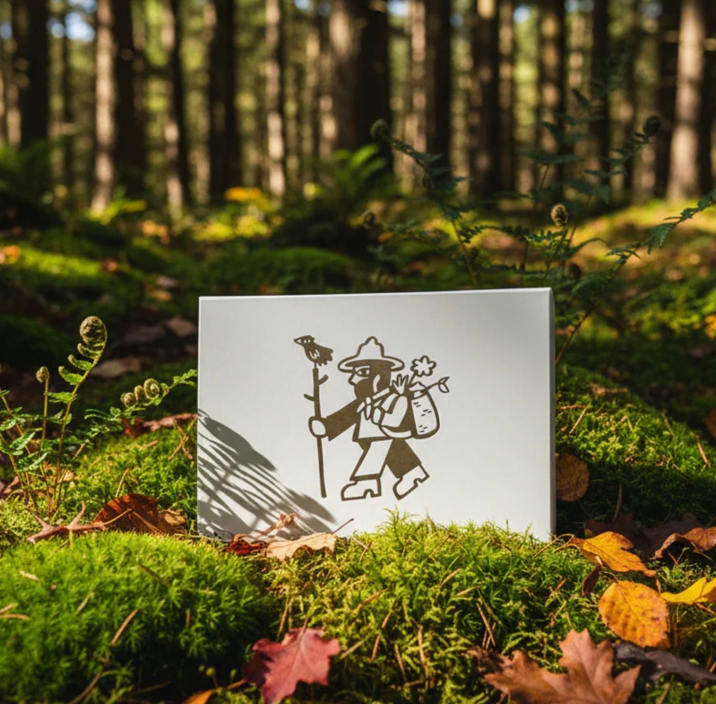 The Trail Companion Set