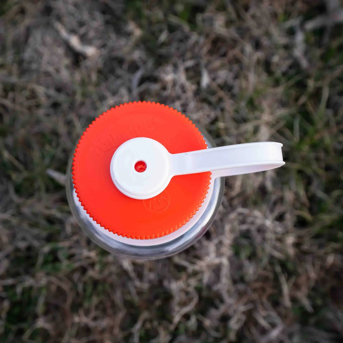 Forager Provisions LTD Hey Bear Outdoors Nalgene water bottle top view with bright orange cap on grassy ground