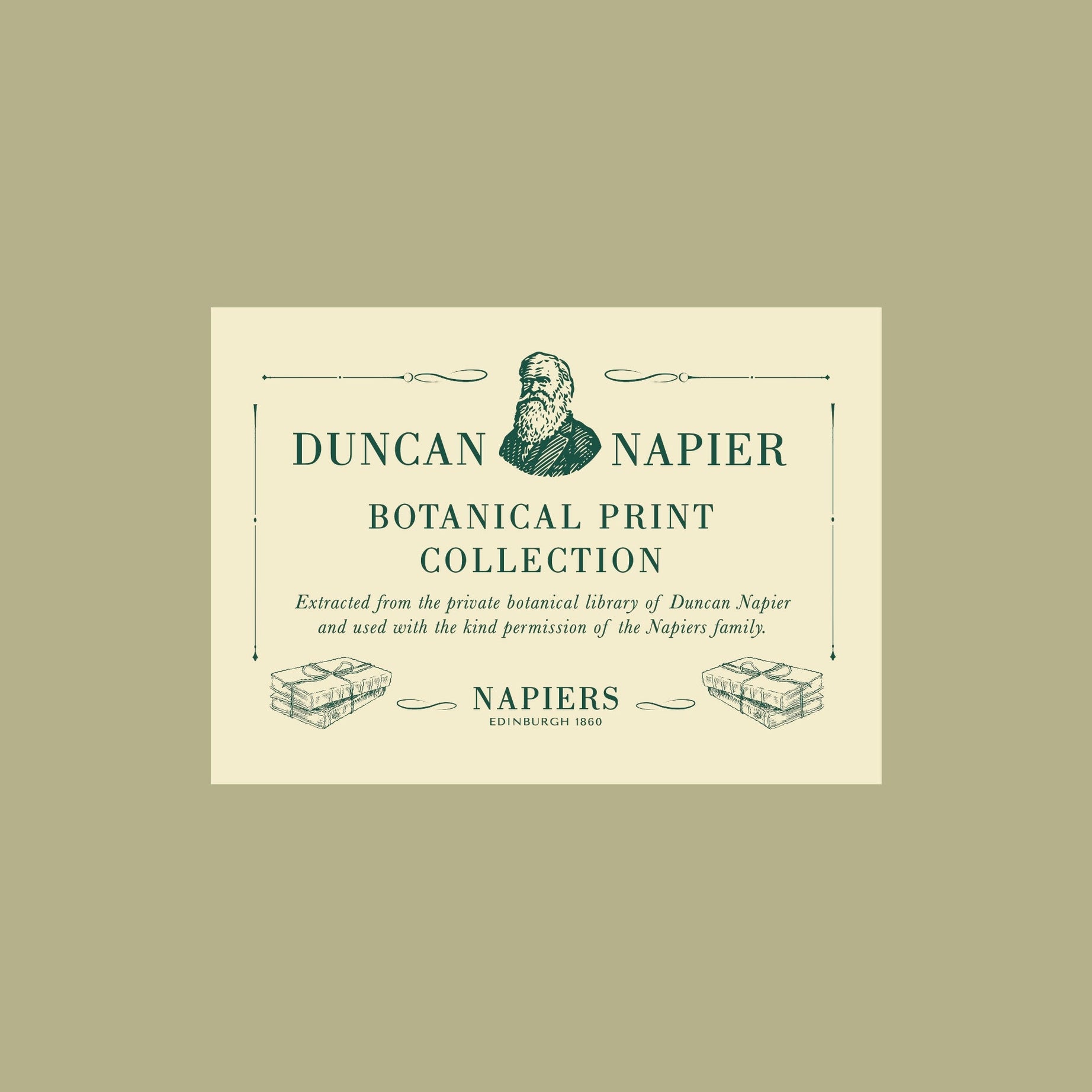 Napiers Botanical Punica Granatum Pomegranate A3 Recycled Agricutural Waste Print