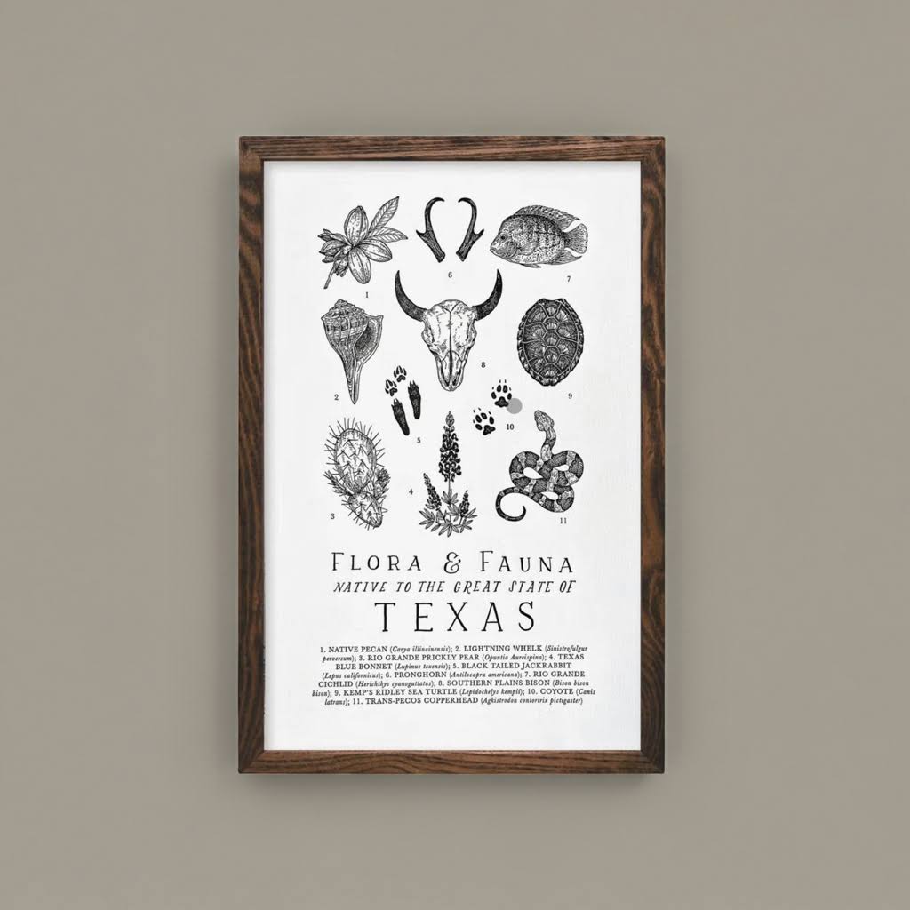 The Wild Wander Texas Field Guide Print (11x17) (Frame Not Included)