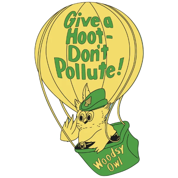 Balloon Woodsy Owl x NoSo Repair Patch