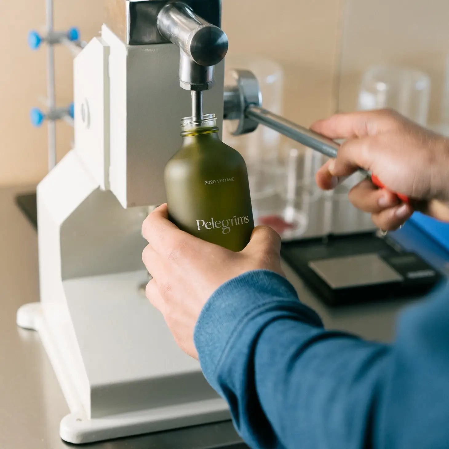 A green bottle of Pelegrims Polyphenol Hand Cream with a black pump dispenser on a white background. The label reads "Low Intervention Skincare" and features English Ortega Grape Extract for rejuvenation.