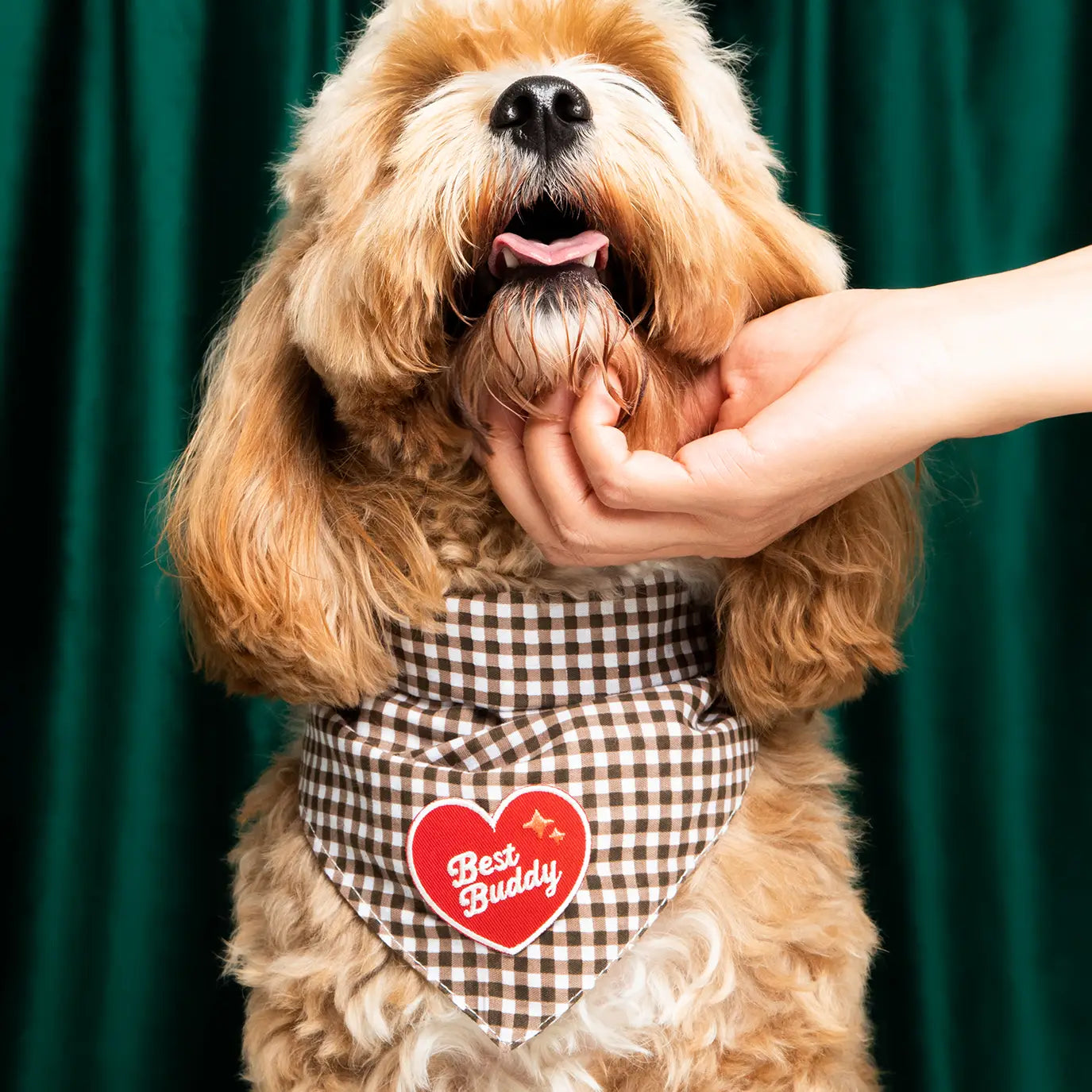 Scout’s Honour Best Buddy Dog Patch