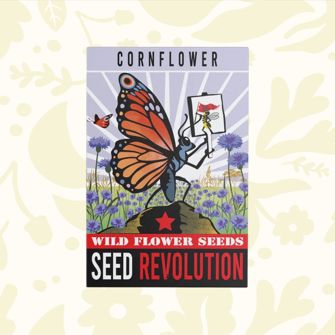 Forager Provisions LTD Seed Revolution cornflower seed packet featuring a butterfly illustration and blue flowers.
