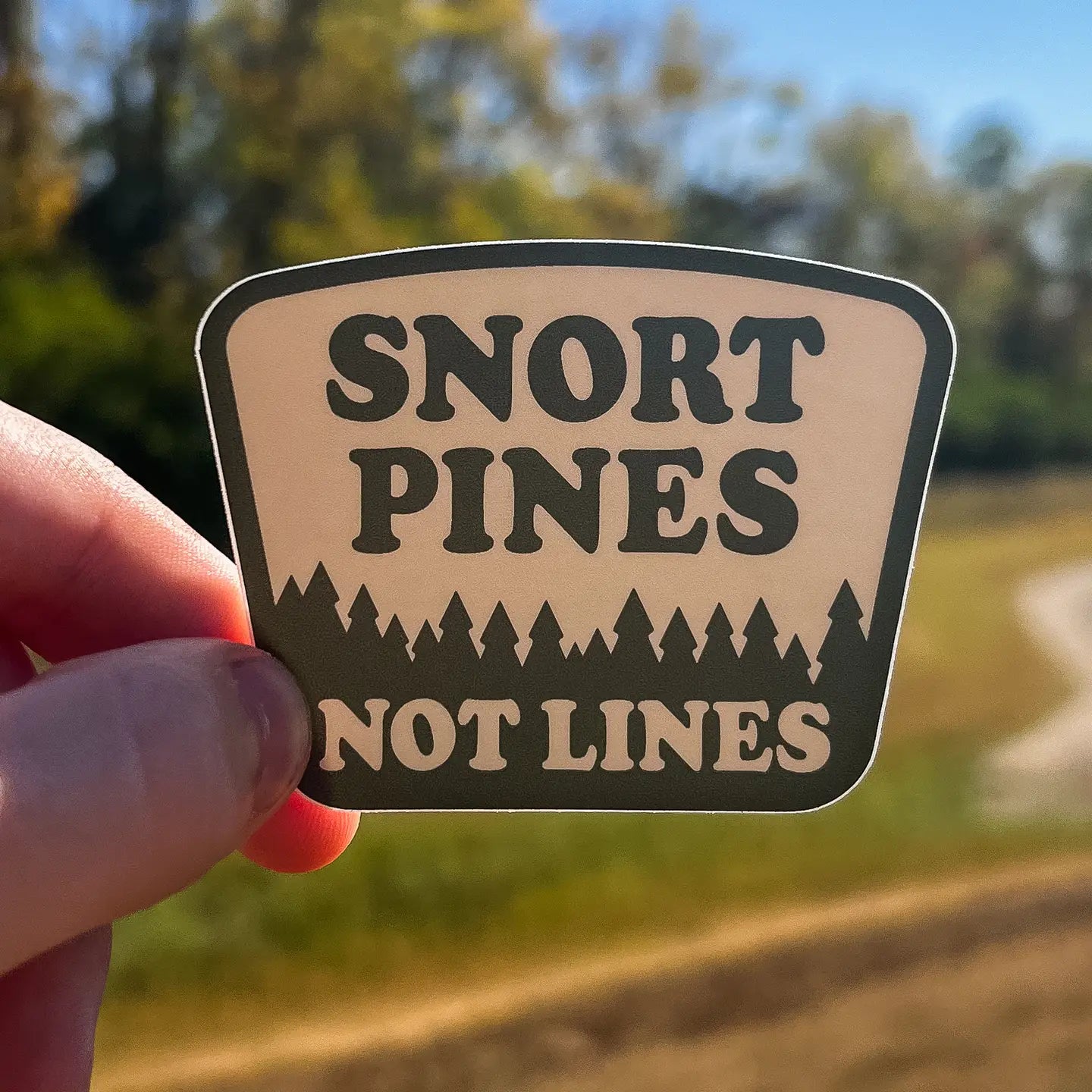 Hand holding Hey Bear Outdoors Snort Pines Not Lines Vinyl Sticker with pine tree silhouettes. Outdoor adventure decal image.