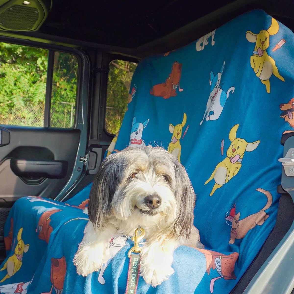 Forager Provisions LTD Sprints dog-print blue towel used as a car seat cover with a fluffy dog sitting on it