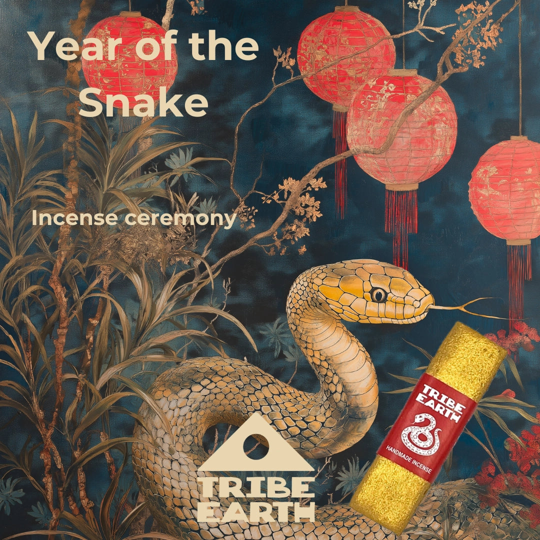 Snake with red lanterns, Tribe Earth Incense Plank Bar, Year of the Snake Gold Edition celebration in background.