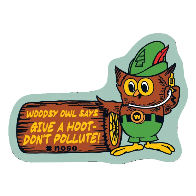 Don’t Pollute Woodsy Owl x NoSo Repair Patch