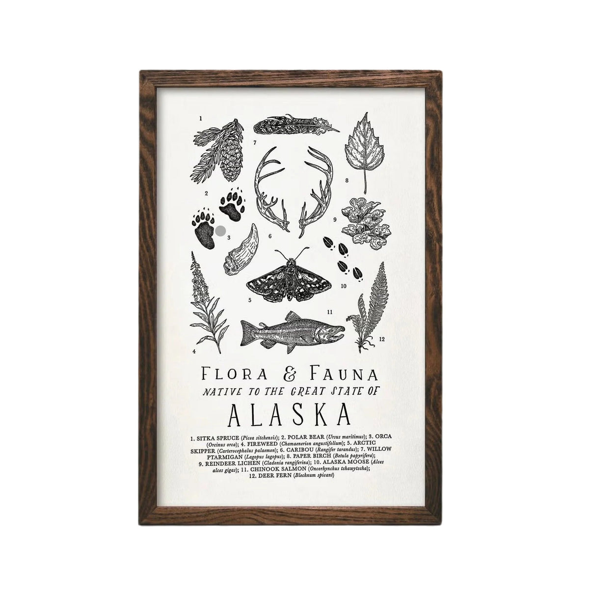 Forager Provisions LTD Alaska flora and fauna letterpress print on soft-white cotton paper in a dark wood frame.