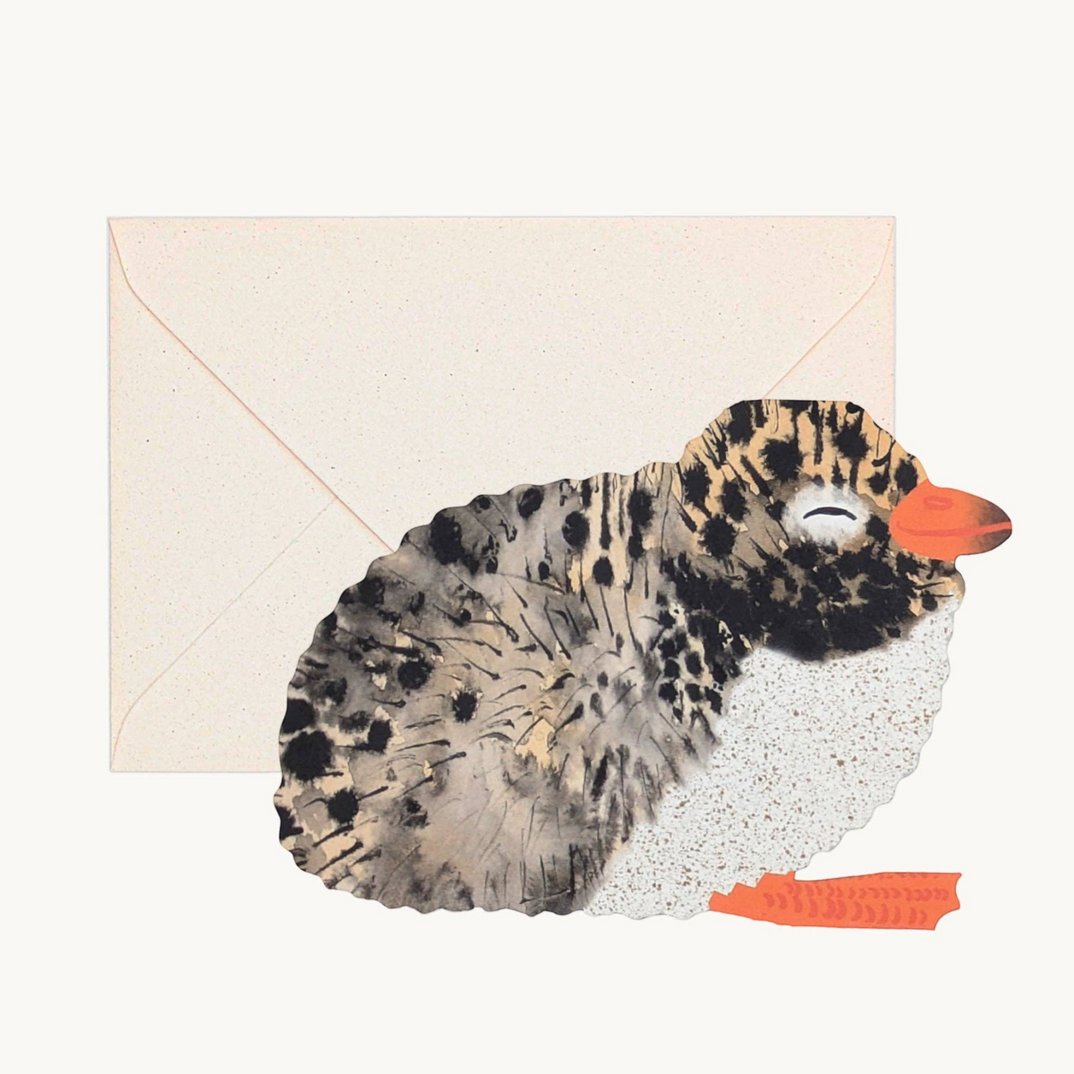 Forager Provisions LTD greeting card featuring a charming watercolor illustration of a sleeping Arctic Tern chick.