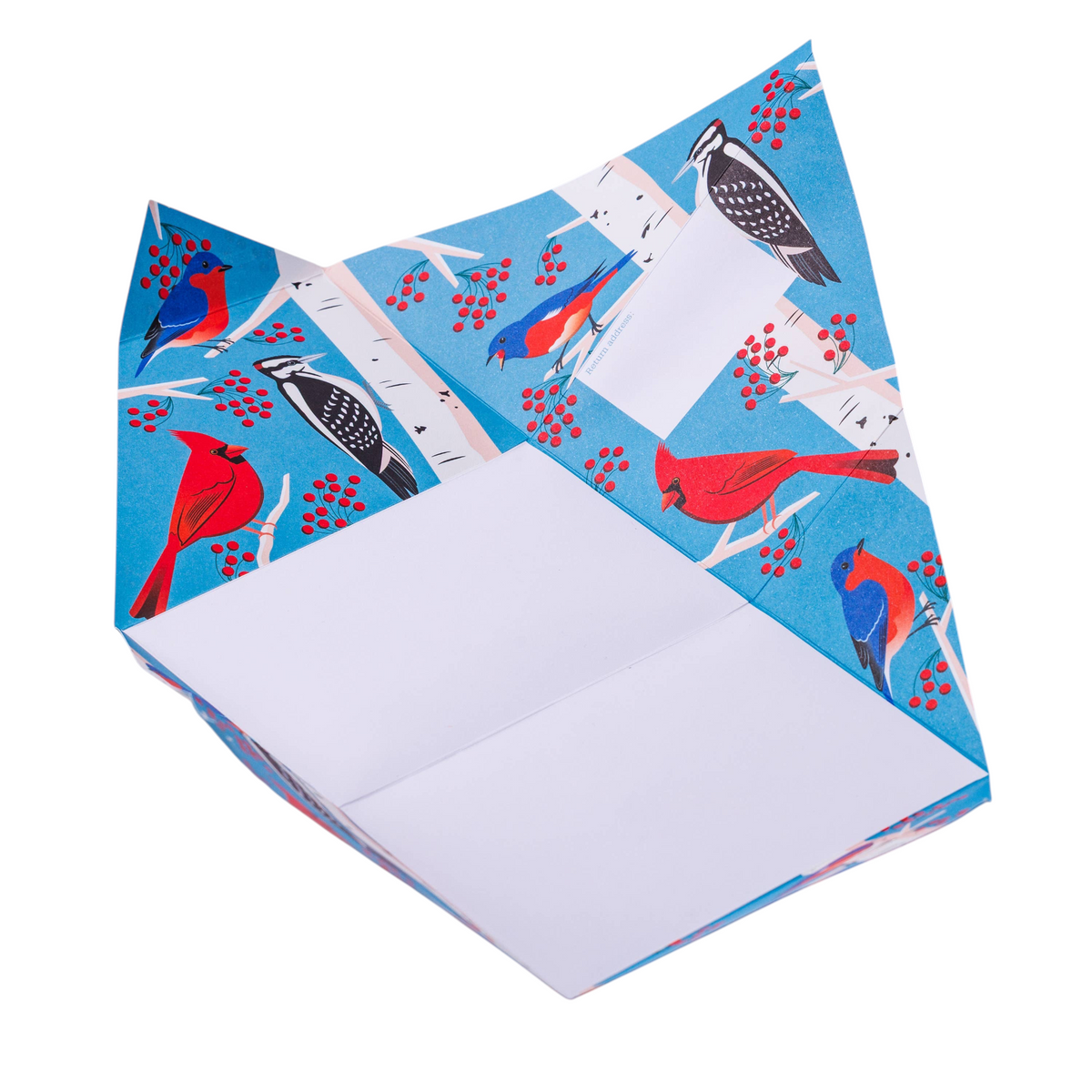 Forager Provisions LTD Carnival of Colour folding letter with vibrant bird and berry illustrations on blue paper
