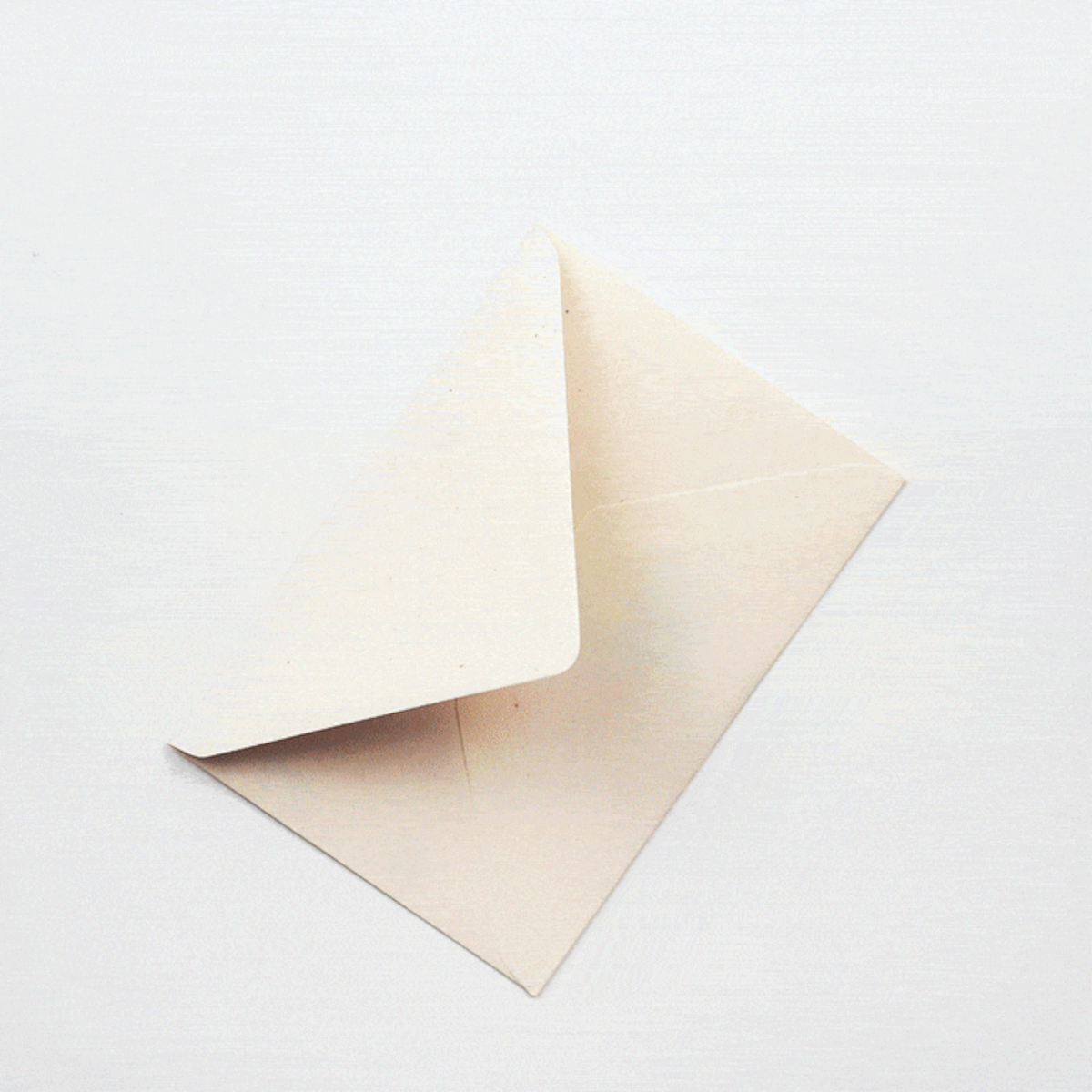 Forager Provisions LTD brown envelope for a Krampus Christmas card on a white background