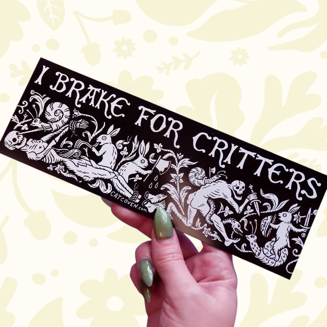 Forager Provisions LTD Cat Coven rectangular car magnet with black and white medieval folklore wildlife illustration.