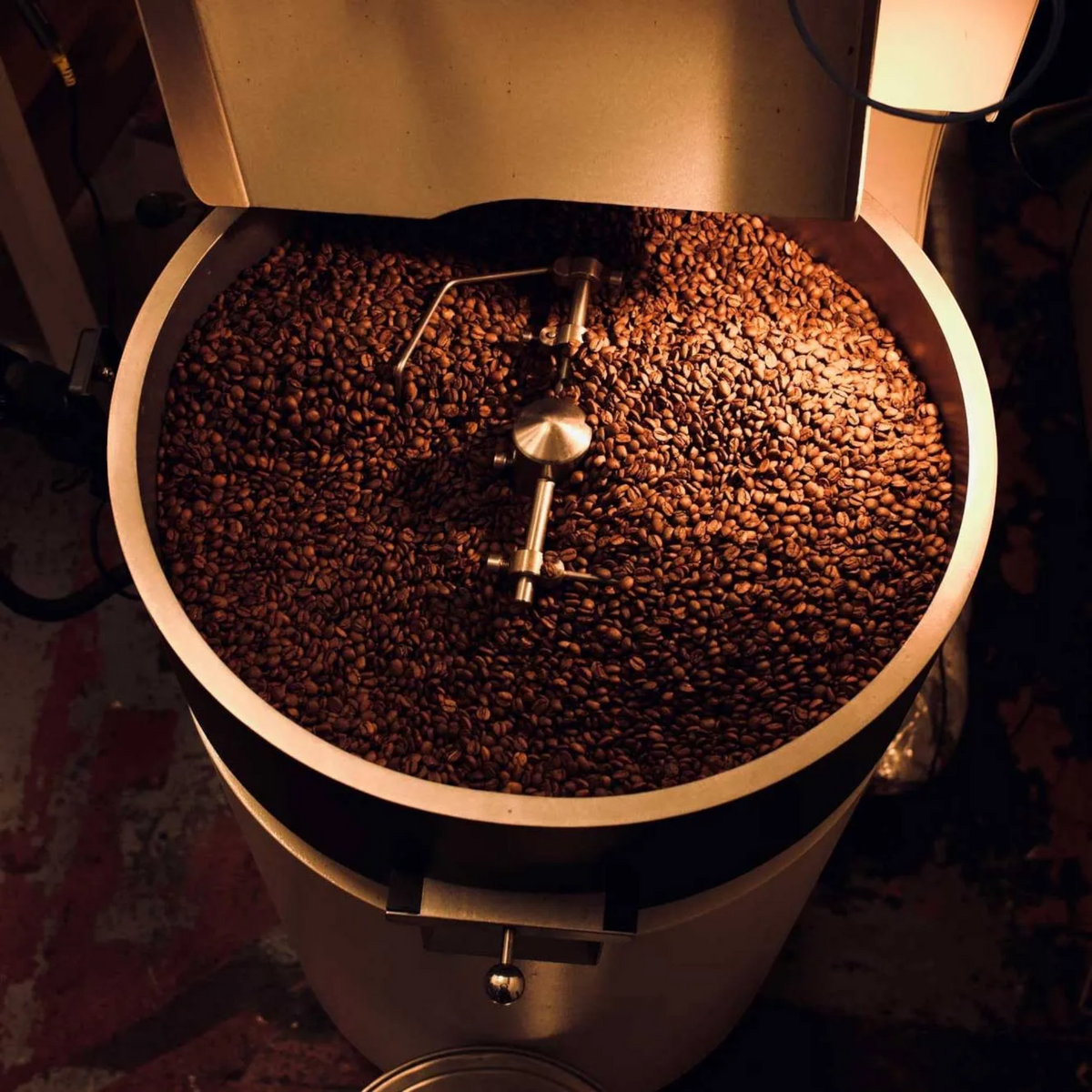Top view of 250g Forager Provisions x Legs Coffee Single Origin beans in metal roaster, warm light highlights freshness.