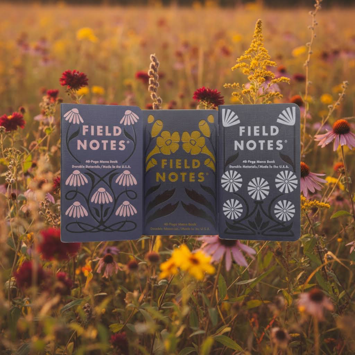 Forager Provisions LTD Field Notes Fall Flowers 2025 edition 3-pack of pocket notebooks in a vibrant autumn meadow.