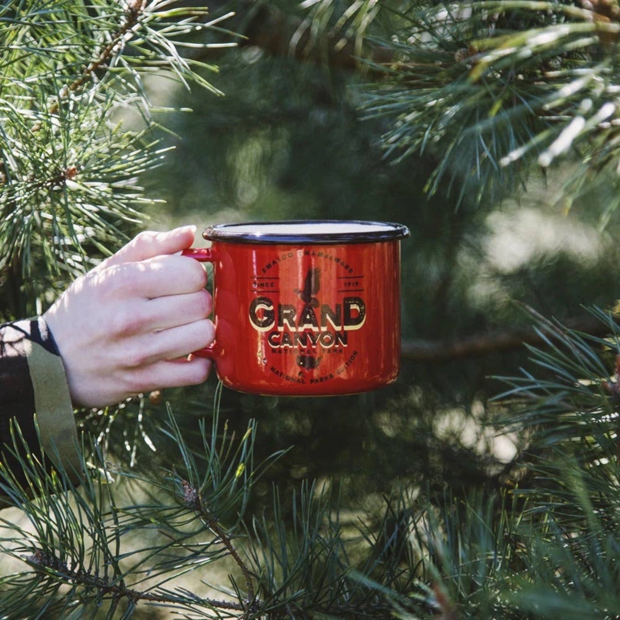 Forager Provisions LTD red enamel camping mug featuring a Grand Canyon National Park graphic held in a pine forest