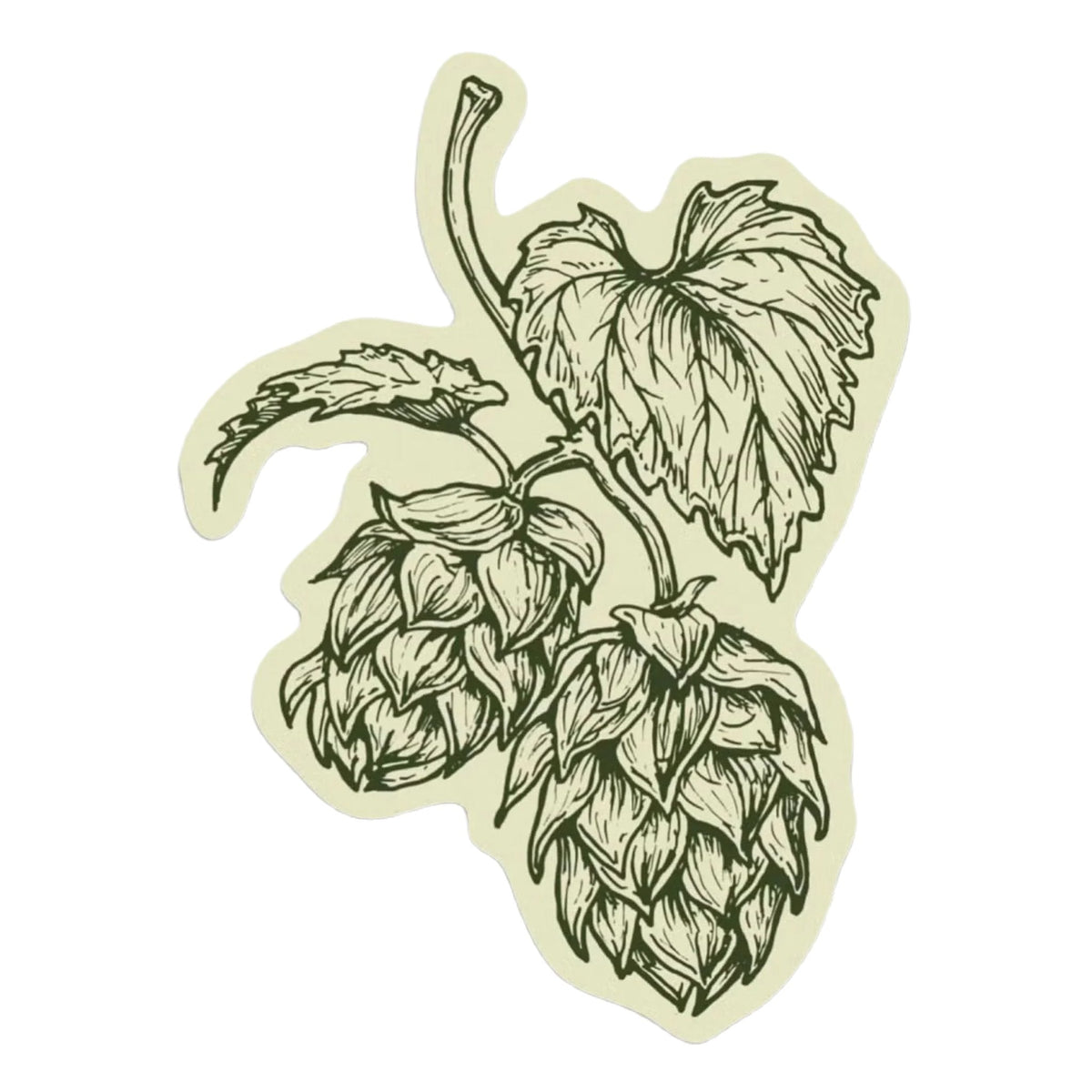 Forager Provisions LTD vinyl sticker featuring a detailed green and beige botanical illustration of hop cones.