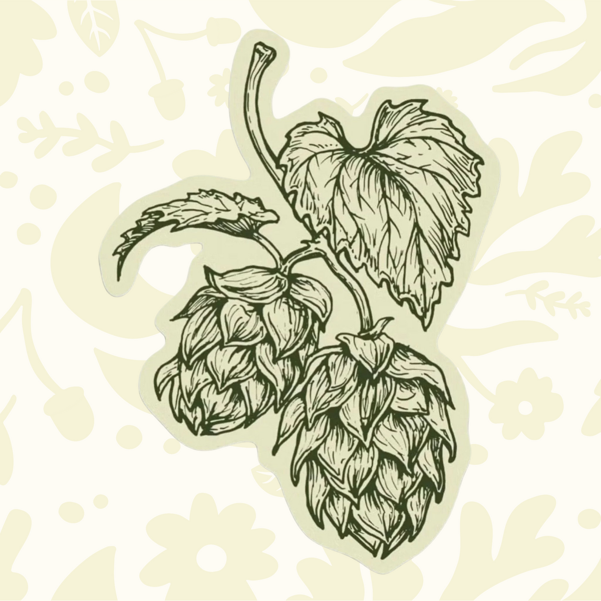 Forager Provisions LTD vinyl sticker featuring a detailed green and beige botanical illustration of hop cones and leaves.