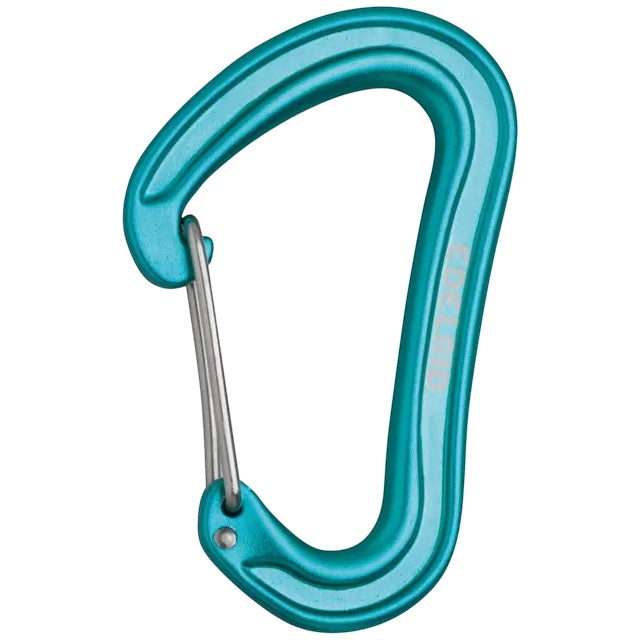 Forager Provisions LTD Edelgrid Nineteen G carabiner in icemint aluminium with a wire gate and offset D shape