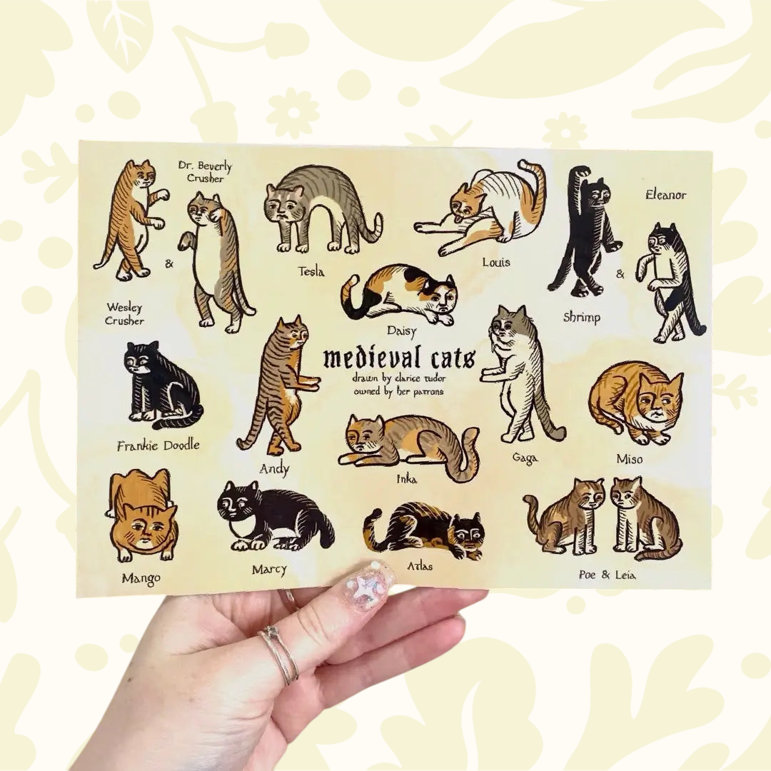 Forager Provisions LTD A5 vinyl sticker sheet featuring 16 quirky, expressive medieval-style cat illustrations.