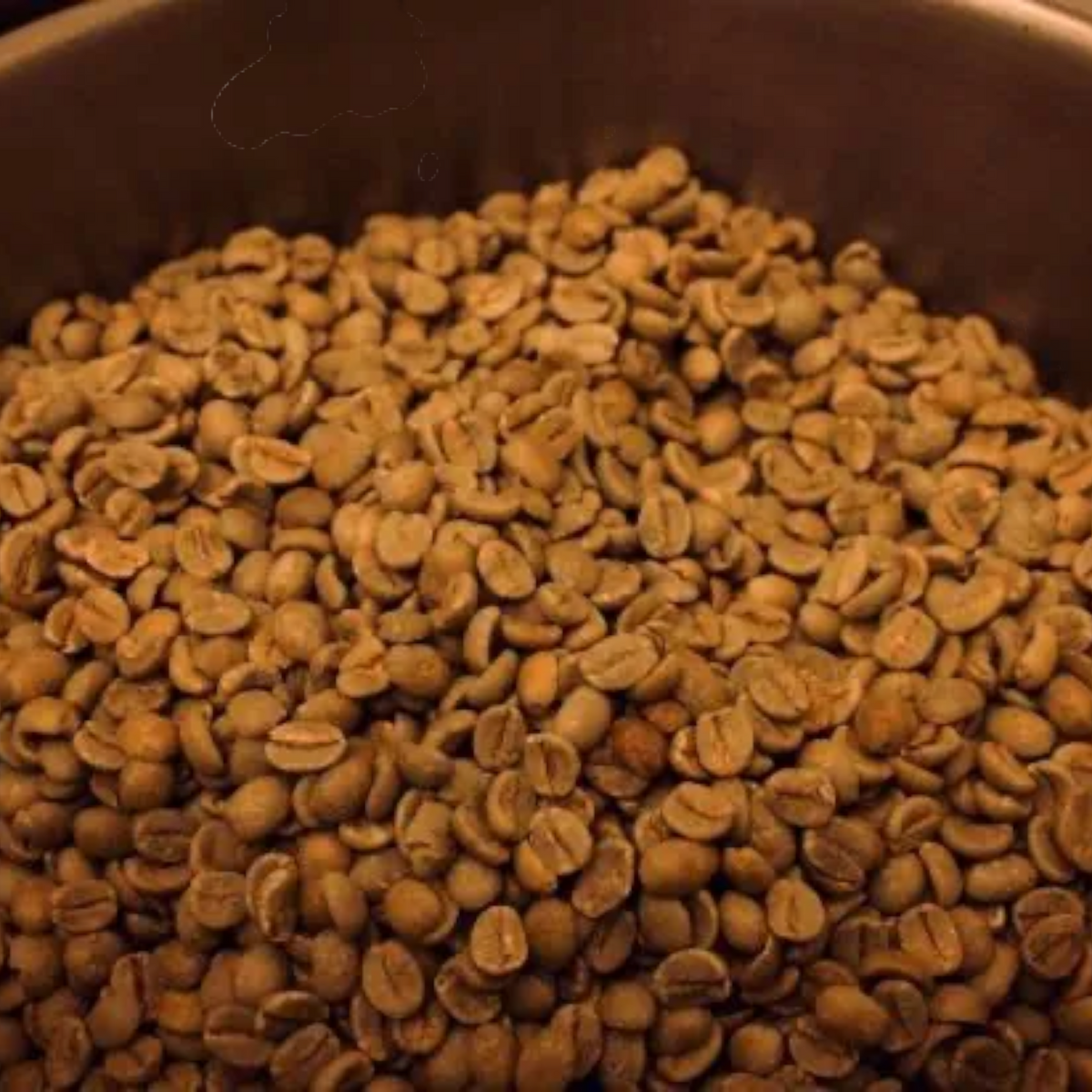 Forager Provisions 250g Single Origin Coffee Beans, unroasted, in metal bowl, warm lighting—premium green coffee beans.