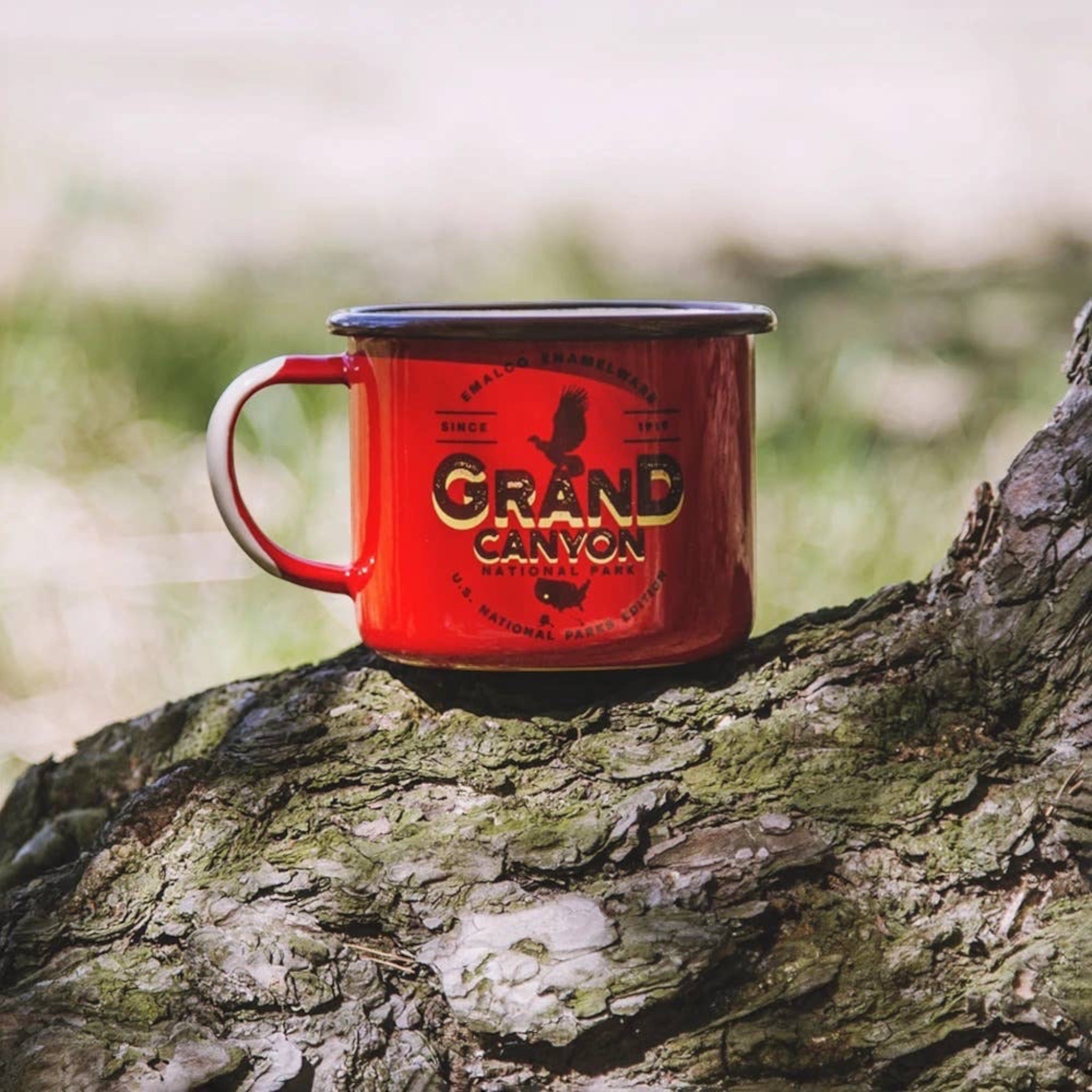 Forager Provisions LTD red Emalco Enamelware 22 oz Grand Canyon National Park camping mug resting on a tree trunk.