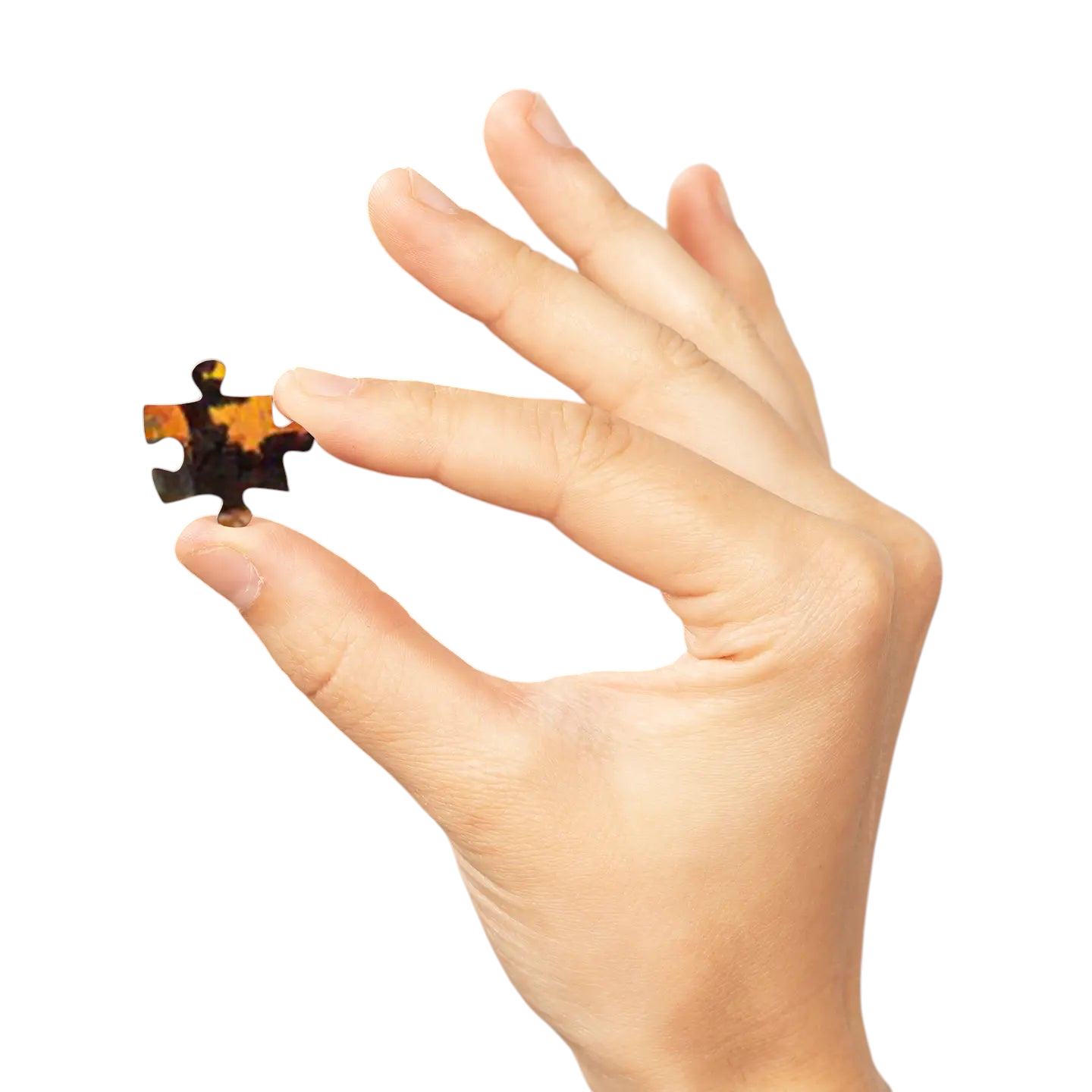 Forager Provisions LTD Smokey Bear puzzle piece held between fingers showing detailed vintage poster artwork