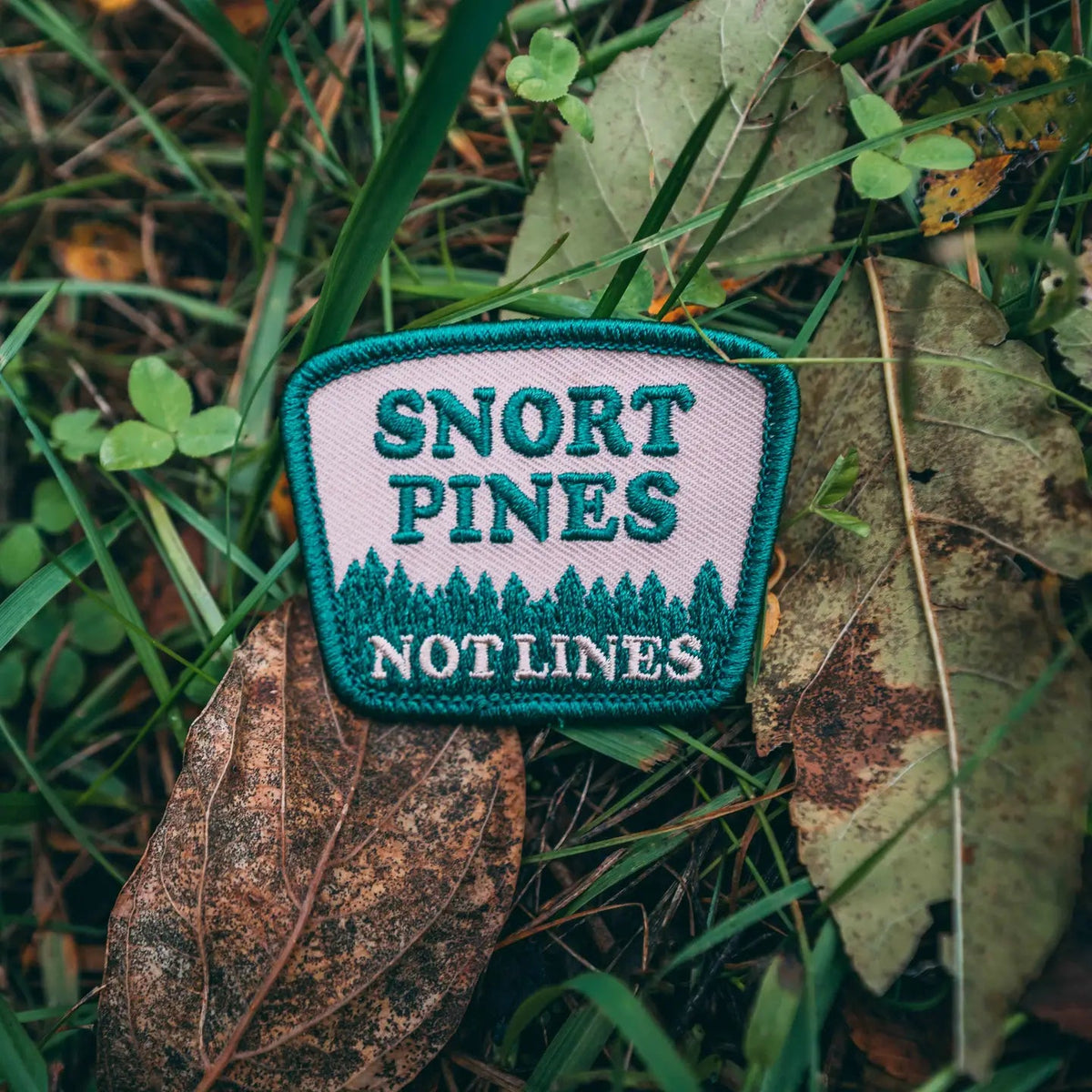 Forager Provisions LTD Hey Bear Outdoors embroidered patch featuring Snort Pines Not Lines text on a forest floor.