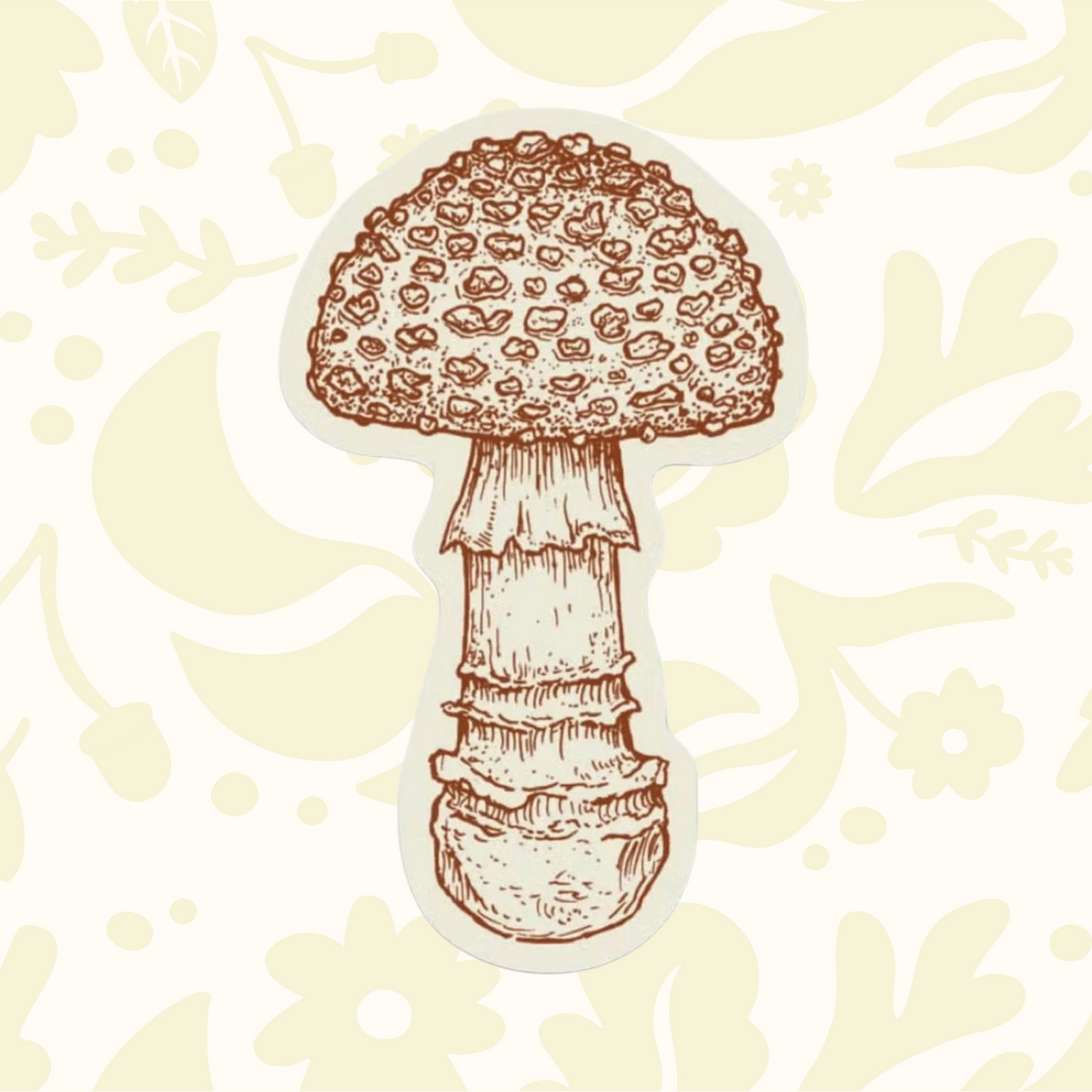 Forager Provisions LTD spotted mushroom sticker with detailed brown ink illustration on durable outdoor vinyl.