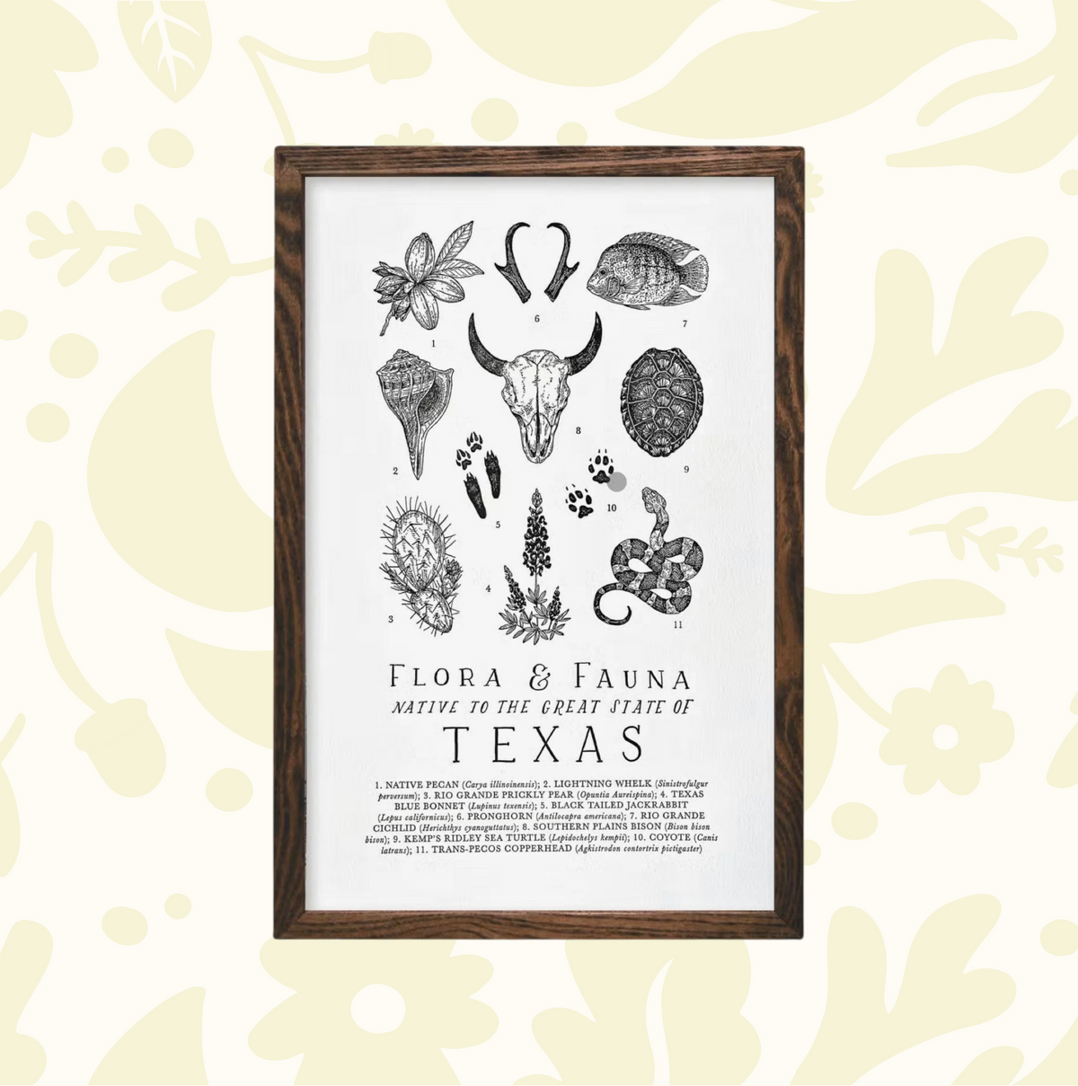 Forager Provisions LTD Texas field guide print featuring hand-illustrated native flora and fauna on cotton paper.