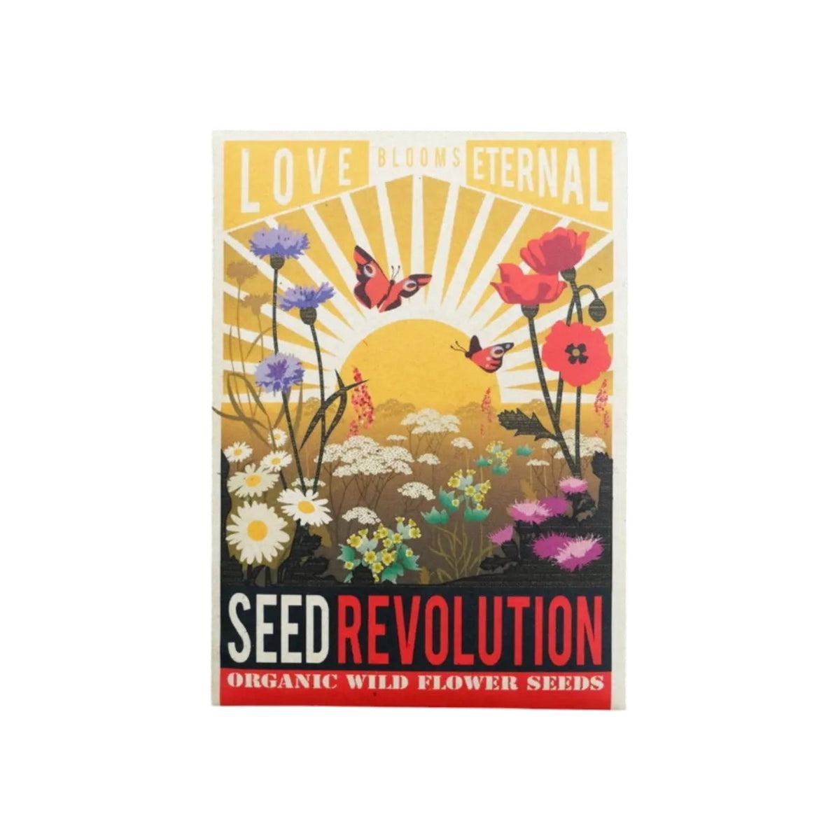 Forager Provisions LTD Seed Revolution Love Blooms Eternal wildflower seed packet with illustrated sun and flowers